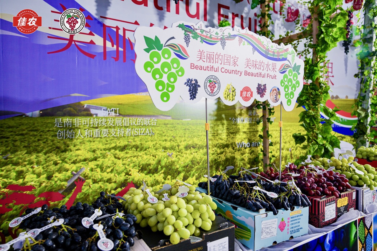 South African Table Grape Industry Celebrates Successful 2022/23 China ...